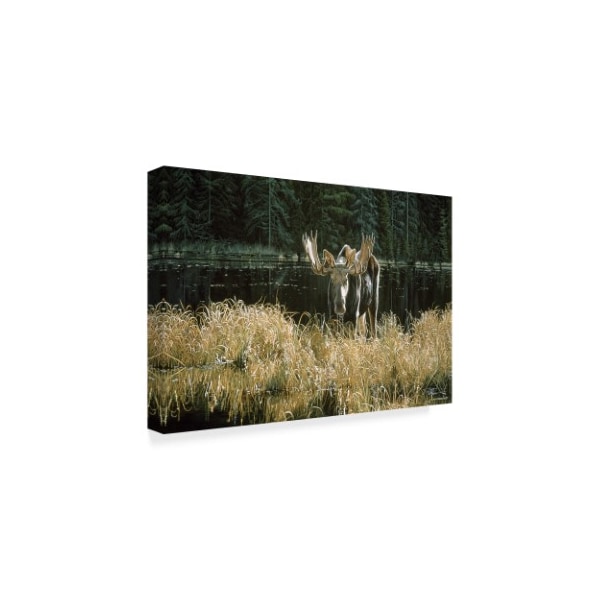 Ron Parker 'Autumn Foraging Moose' Canvas Art,16x24